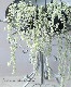 ڴտʪǥǥإ̥ꥢХꥨ