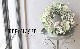 �ڴ󤻿����� -TEFNIQUE-�󤻿����꡼�� 2024 * no.17 *��ĳ���񤦥��إ������Τ���Ȫ��