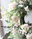 �ڴ󤻿����� -TEFNIQUE-�󤻿����꡼�� 2024 * no.17 *��ĳ���񤦥��إ������Τ���Ȫ��