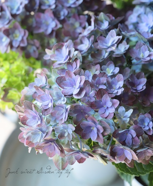紫陽花 紫陽花 『紫紺のゆらぎ』 | すべての商品 | | Junk sweet Garden tef*tef*