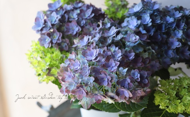 紫陽花 『紫紺のゆらぎ』 | すべての商品 | | Junk sweet Garden tef*tef*