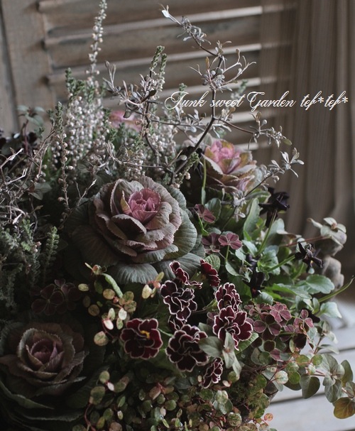 ���롼�ʡ��֥륬�ꥹ���إ���С��ʡ١�No.J��