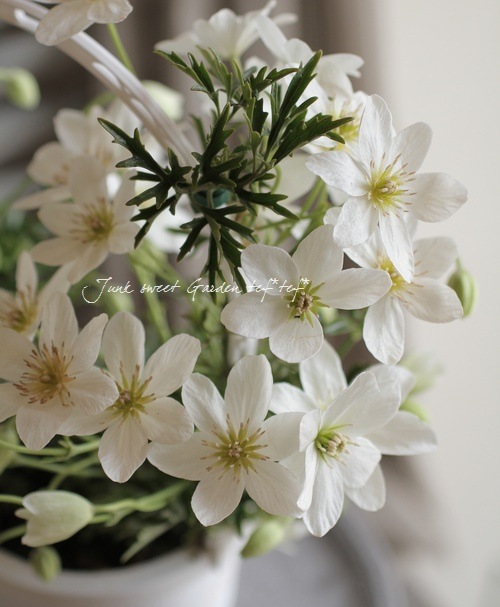 1_000000015378.jpg?1678209903