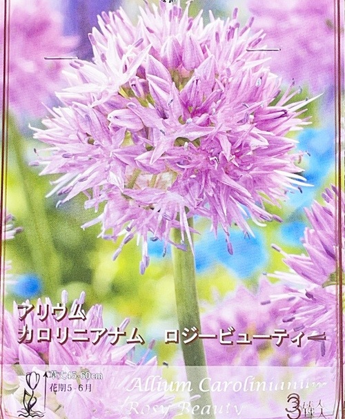 �ڵ庬�� ���ꥦ�ࡦ������˥��ʥ� �إ������ӥ塼�ƥ���