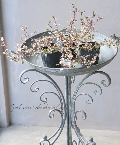 �����ꥳ�ץ����� �إ�������