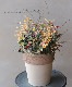 tef*tef*󤻿 2018 * no.26*ϥƥ饳å