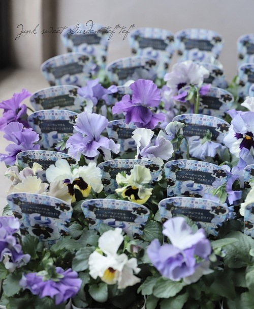 ѥ󥸡 ࡼե롡إȥꥳ롼塦ۥ磻ȡ١٤롪ǥ֥ե顼