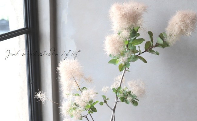 ☆ちる☆　スモークツリーふわふわ完売！ ☆ちる☆ スモークツリーふわふわ完売！ Amazon.co.jp: スモーク