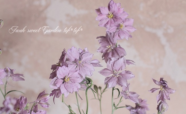 Ȭź餭顼ѡ إ륰쥤 Ի׵Ŀ