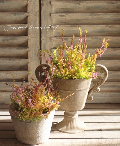 롼ʡ֥륬ꥹإ饤ߥԥ󥯲֡١No.E