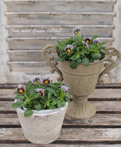 ������ƥ������ӥ��顡�إե����ƥåɥ��祳�졼�ȡ�