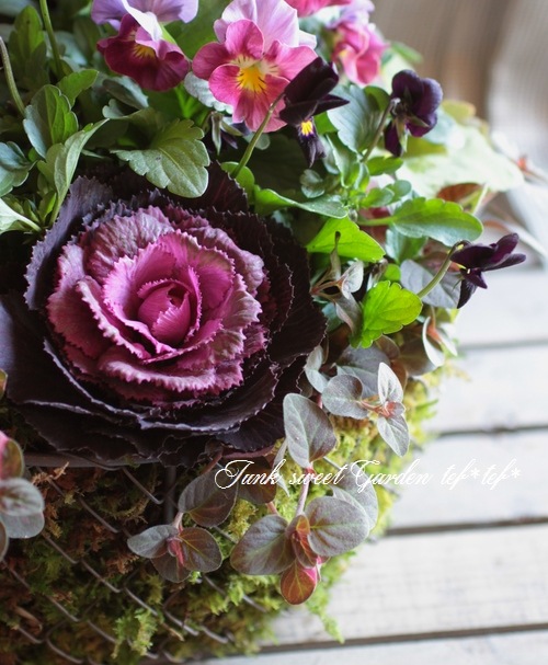 ڻߡۥ磻䡼Хåȡ롦M