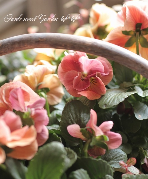 ドイリー1104❤️パンジーと八重咲き花✨2枚以上で2680円❣️ レース