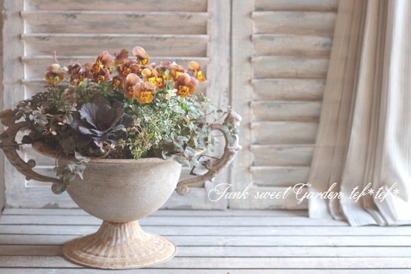 Bambi土曜日購入！ 0000000033482_jB7ckh9.jpg