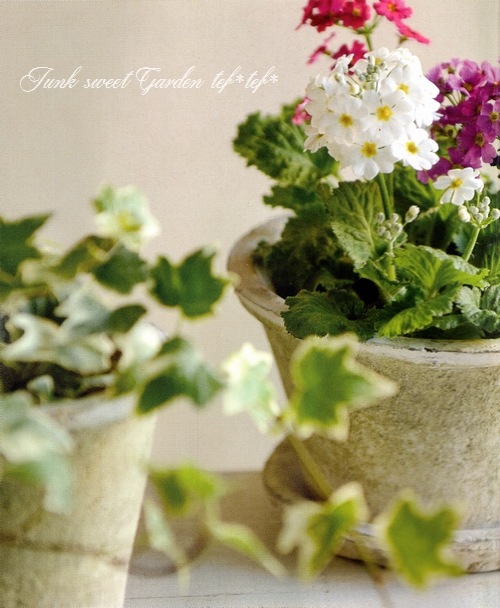 ڻߡۥƥۥ磻ȡ쥢ݥå 32cm