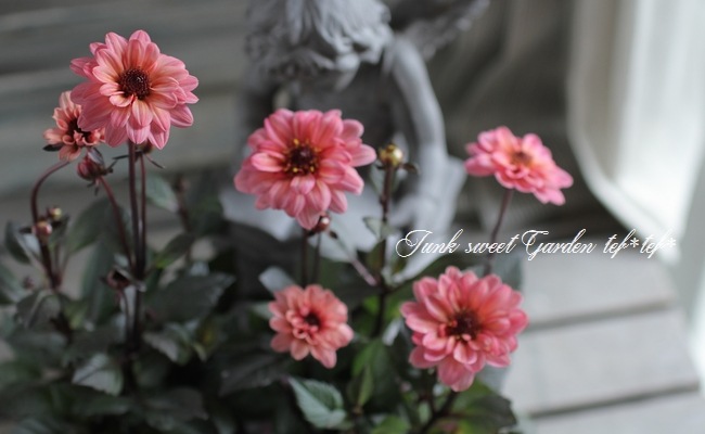 バカラ　金彩　虎　フィギュリン　共箱　幅18㎝　トヒチサ　東な7-0305☆1F バカラ 金彩 虎 フィギュリン 共箱 幅18㎝ トヒチサ 東な7-0305☆