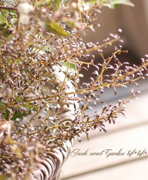 tef*tef*�󤻿���<BR>2015 * no94 *<BR><BR>���λޤ��