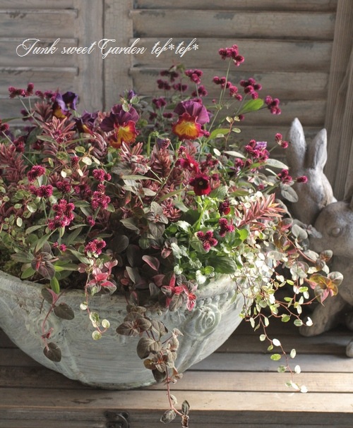 tef*tef*󤻿<BR>2015 * no.110 *<BR><BR>إ쥬 X'mas