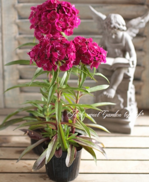 訳あり　超レア　トルコヴィンテージラグ　ローズ　206×113 薔薇　トルコラグ 超大判258cm×165cm クラシックローズ薔薇トルコヴィンテージラグ