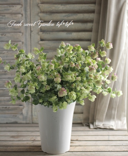 オレガノケントビューティ ドライフラワー22年6月 B 超人気新品 B