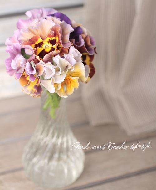 �ե��ѥ󥸡����ե�ե�إ֥��󥺡�