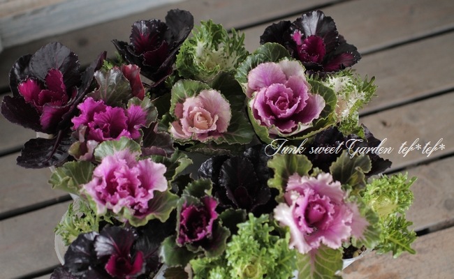 tef*tef*���̥֡�����Ω�ơ����Ȥ��ա����饭���ղ�ð���ظ��ҡ����ꥹ�ޥ�MIX��