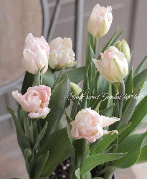 7_000000007173.jpg?1678209903