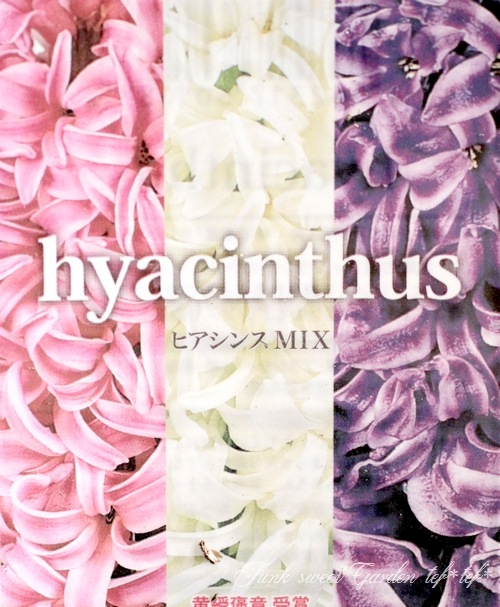 ���ڲ�����庬�� �إҥ䥷�󥹡� 3��MIX����