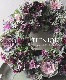 ڴ󤻿 -TEFNIQUE-󤻿꡼ 2024 * no.19 *ͲİƥXmas꡼