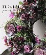 ڴ󤻿 -TEFNIQUE-󤻿꡼ 2024 * no.19 *ͲİƥXmas꡼