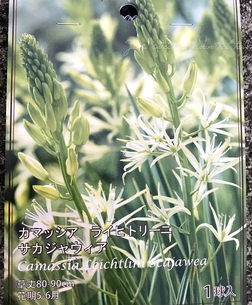 �ڵ庬�� ���ޥå������饤�ҥȥ꡼�ˡ��إ������㥦������