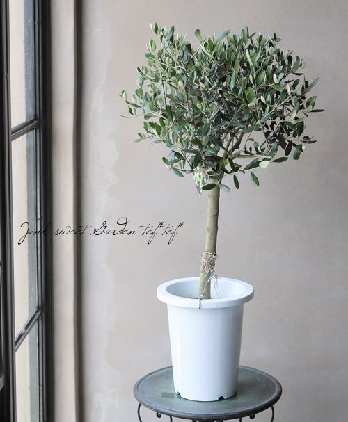 ꡼֡إå١ɤɳߺϲsouju ȥԥ꡼Ω No.2