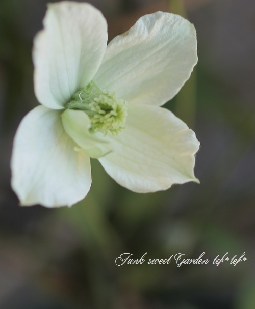 3_000000007380.jpg?1678209903