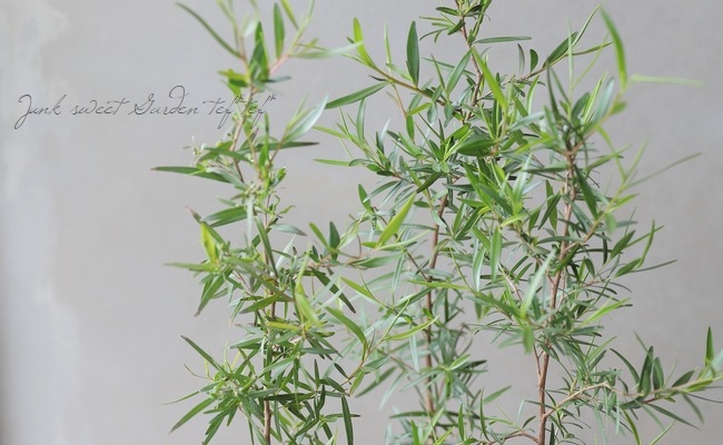 4_000000017580.jpg?1650970702