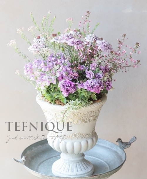 �ڻ��ߡۥ��ޥ������֥�å�A-L �ڥۥ磻�ȡ�