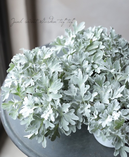 ����ƥߥ������إ�ꥹ�����ȥ쥤��پ�����