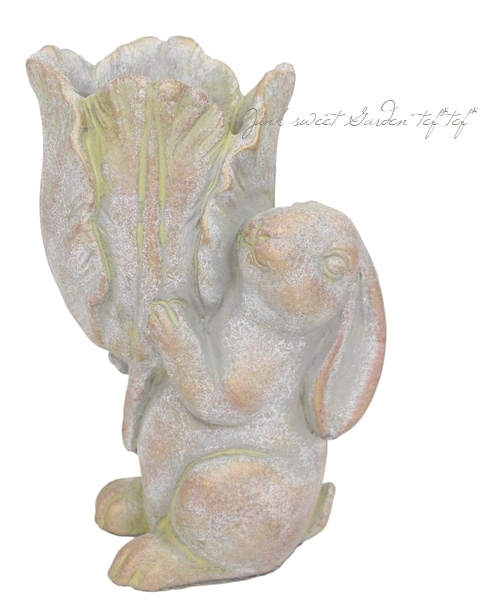 �ڻ��ߡۥ�ӥåȥ꡼�եݥå�L