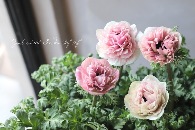 11_000000020581.jpg?1706021348