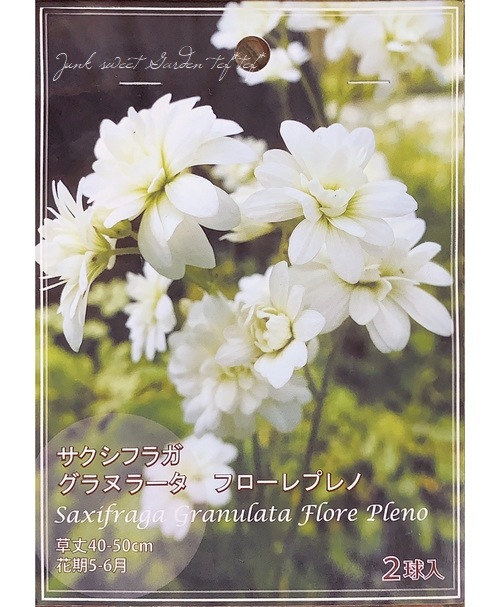 �ڵ庬�� �������ե顼��������̥顼�����إե�����ץ�Ρ�