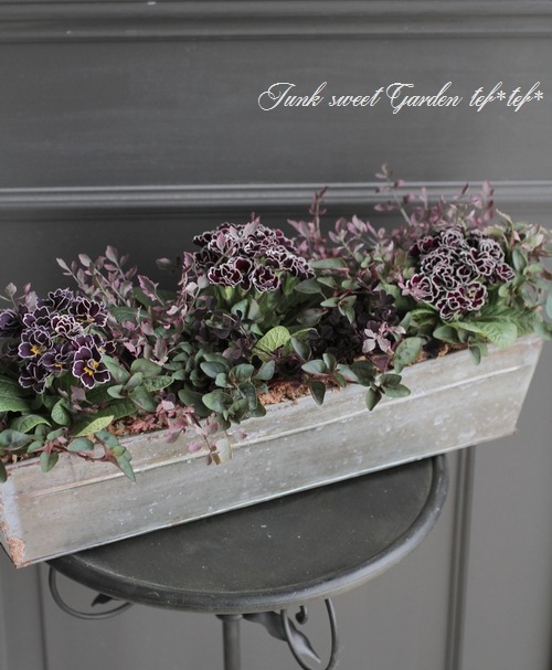 ���ꡡ�إե�ߥ󥴡� ������