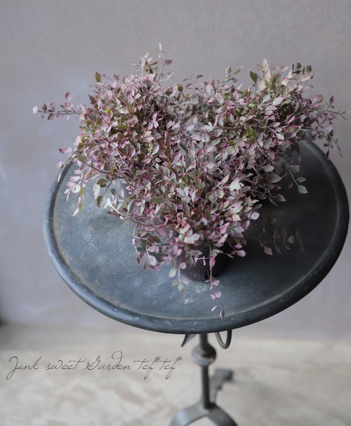 ���ꡡ�إե�ߥ󥴡� ������