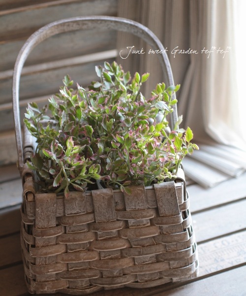 ���ꡡ�إե�ߥ󥴡� ������