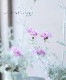 ����ȡ��쥢������Υ���� �إ���С��ե�������