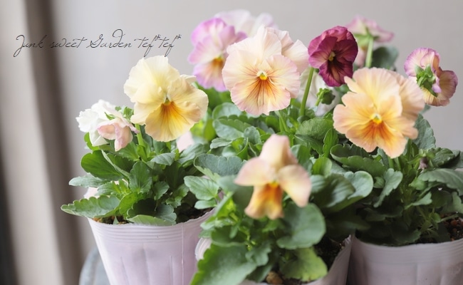 4_000000014581.jpg?1605182249