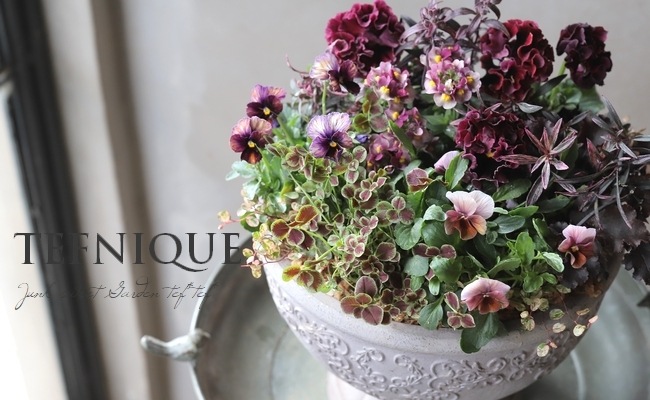 ����ƣ����������ɥѥ󥸡������������ɥ�������ȥ�ͥå� �إ�����