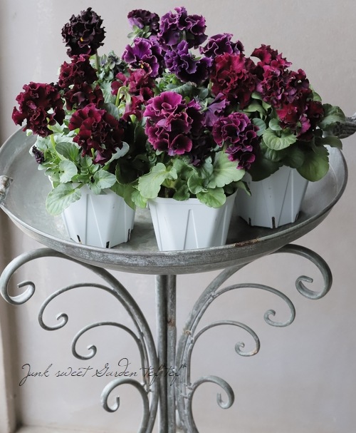 ����ƣ����������ɥѥ󥸡������������ɥ�������ȥ�ͥå� �إ�����