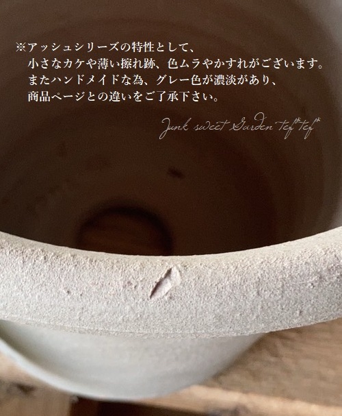 �ڻ��ߡ� �ѹ񥦥��å��ե����� ��Cockle Shell -���å��륷����-�� ���å��奰�쥤 ��29