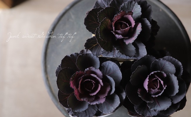 ���ղ�ð����˨�֥֥�å���