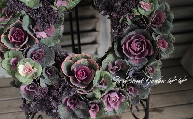 □葉牡丹 『萌花ブラック』 | すべての商品 | | Junk sweet