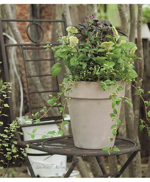 �ڻ��ߡۥ���ȥݥåȡ����ץ�����